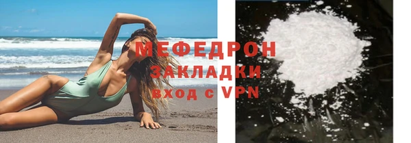 шишки Няндома