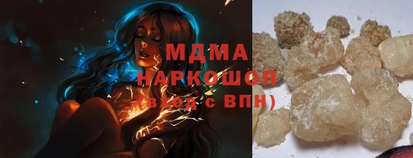 шишки Няндома