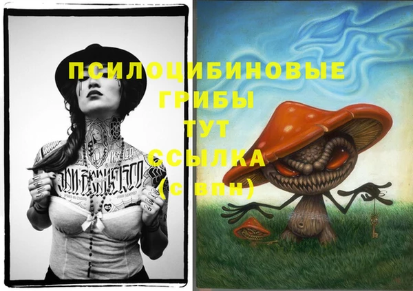 ПСИЛОЦИБИНОВЫЕ ГРИБЫ Нягань