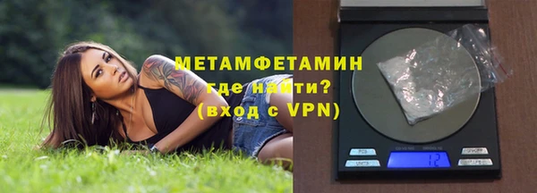 шишки Няндома