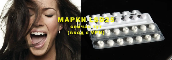 шишки Няндома
