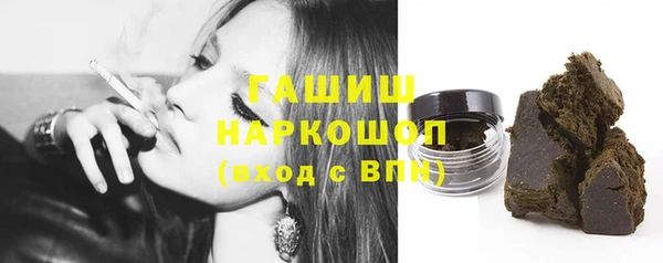 шишки Няндома
