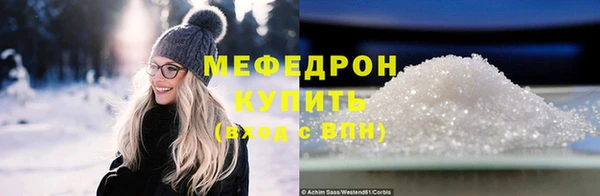 шишки Няндома