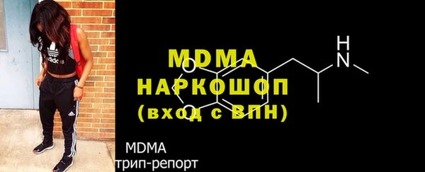 шишки Няндома