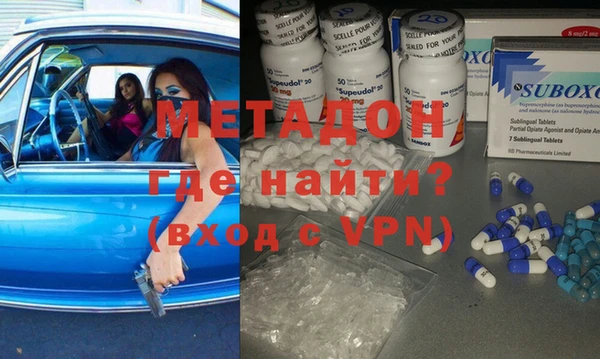 шишки Няндома