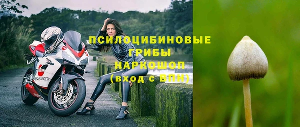 шишки Няндома