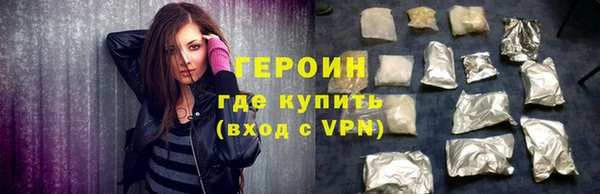 шишки Няндома