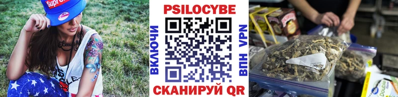 где найти   Кирсанов  Псилоцибиновые грибы Magic Shrooms 